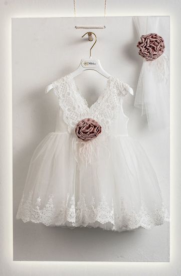 Εικόνα της STELLA